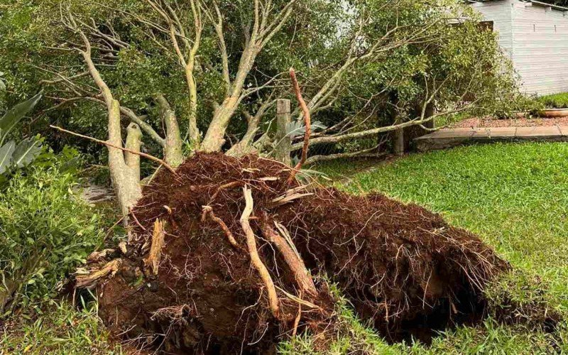 Imagens mostram destruiÃ§Ã£o causada por tempestade em Harmonia