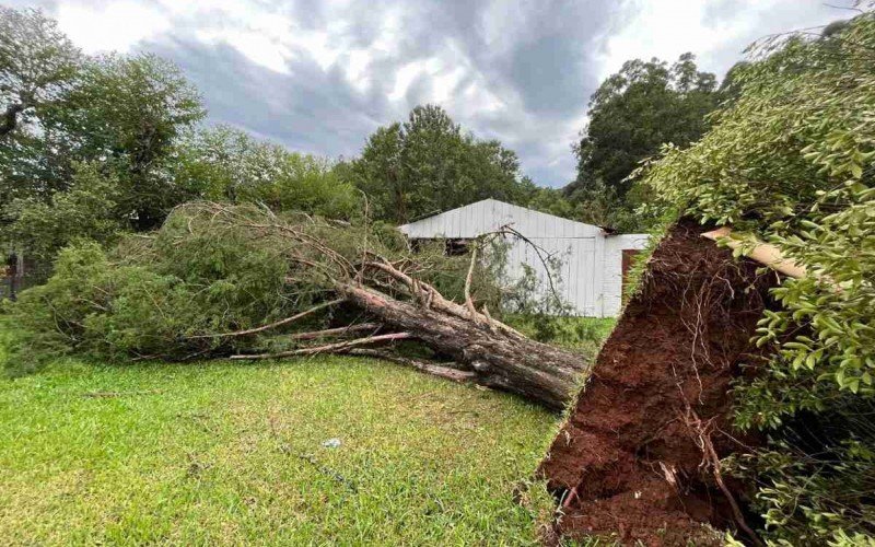 Imagens mostram destruiÃ§Ã£o causada por tempestade em Harmonia