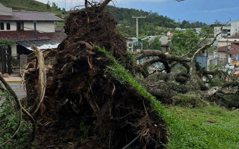 Imagens mostram destruiÃ§Ã£o causada por tempestade em Harmonia