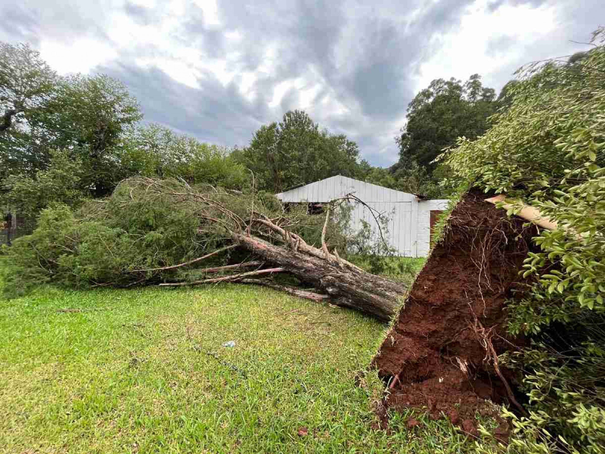 Harmonia é a segunda cidade da região a ser atingida por microexplosão em três dias