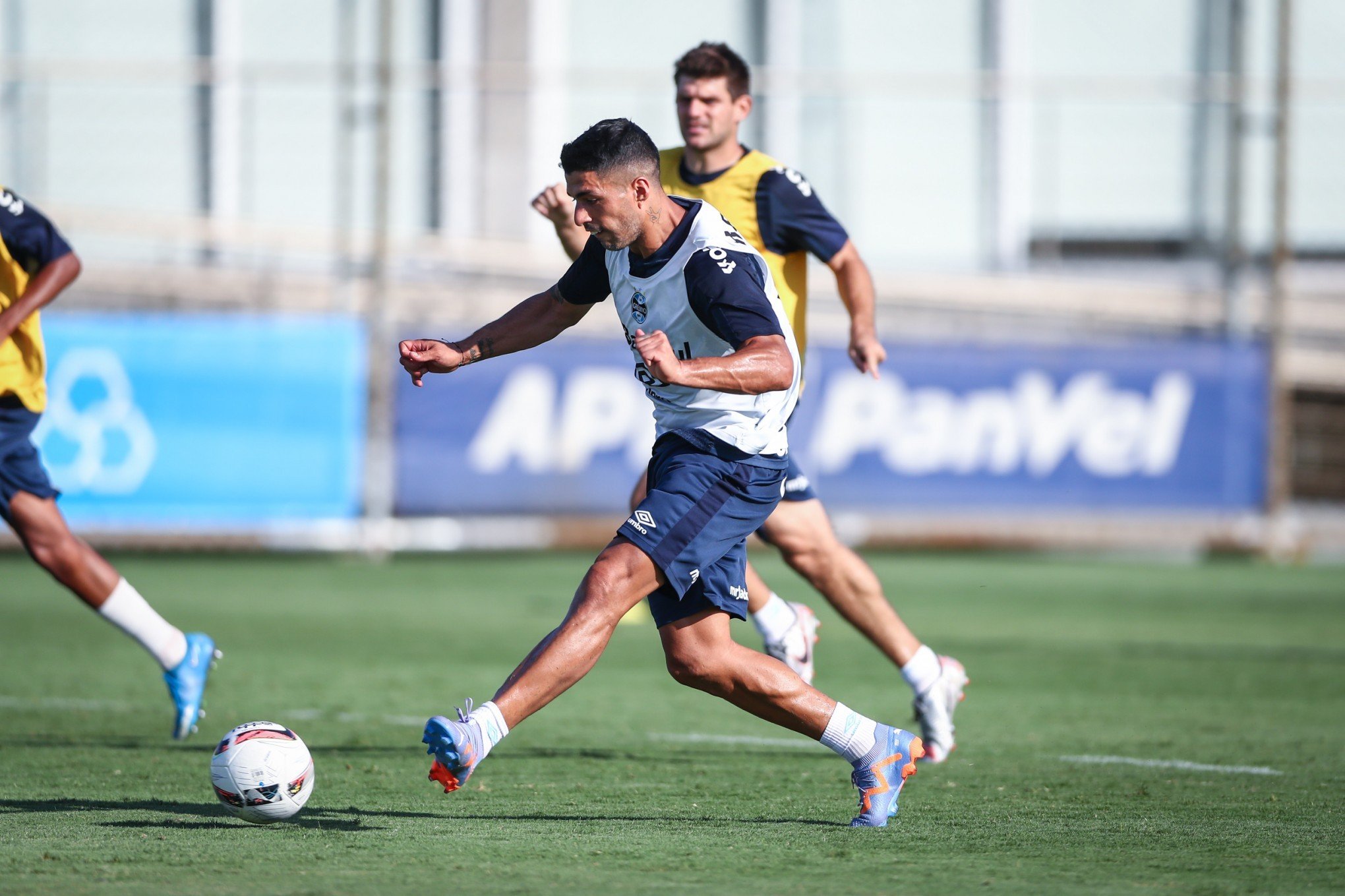 Renato Portaluppi decide time que vai a campo contra o Esportivo nesta terça-feira