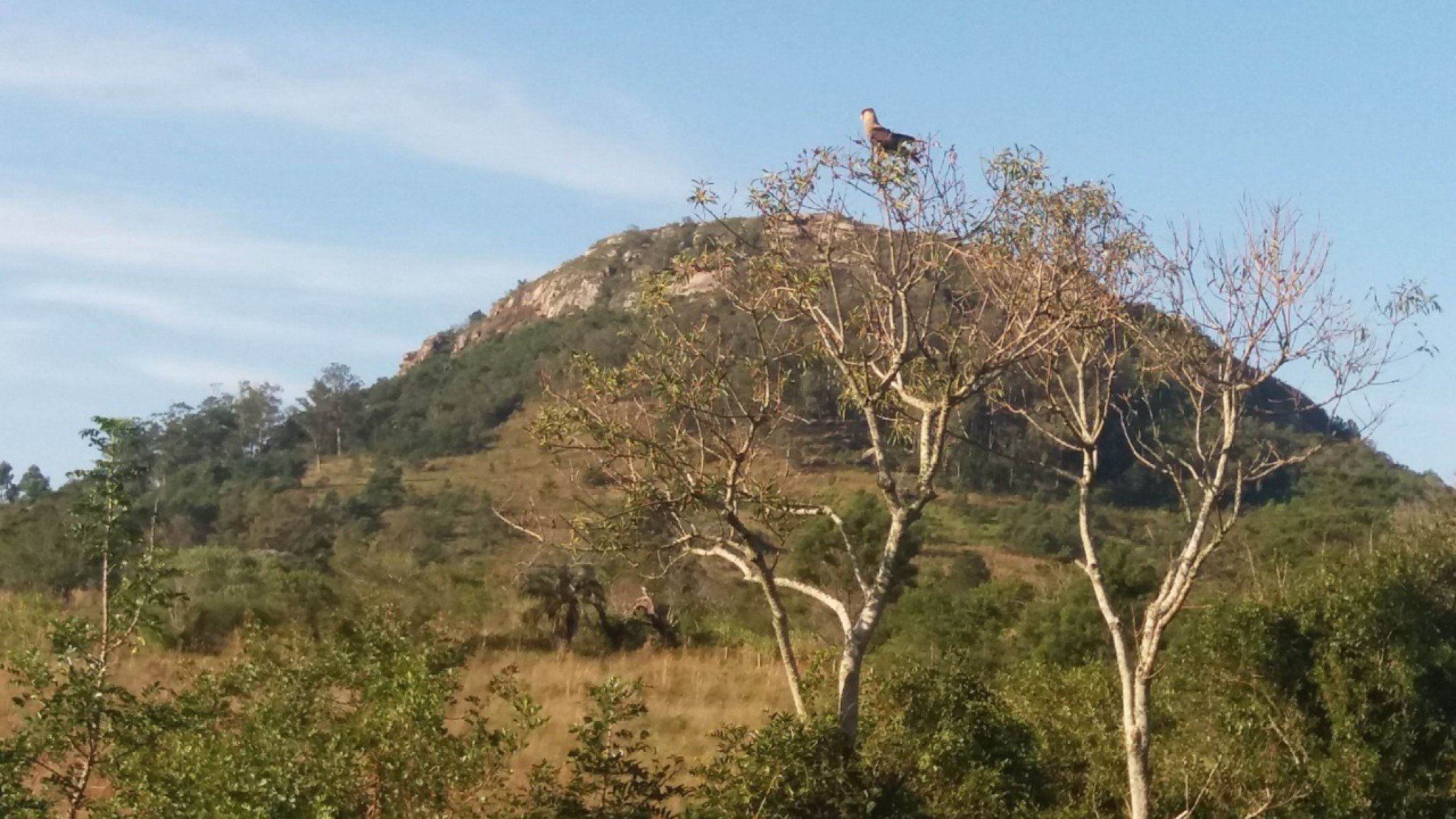 Fazenda Morro Sapucaia é destaque neste Dia das Reservas Particulares