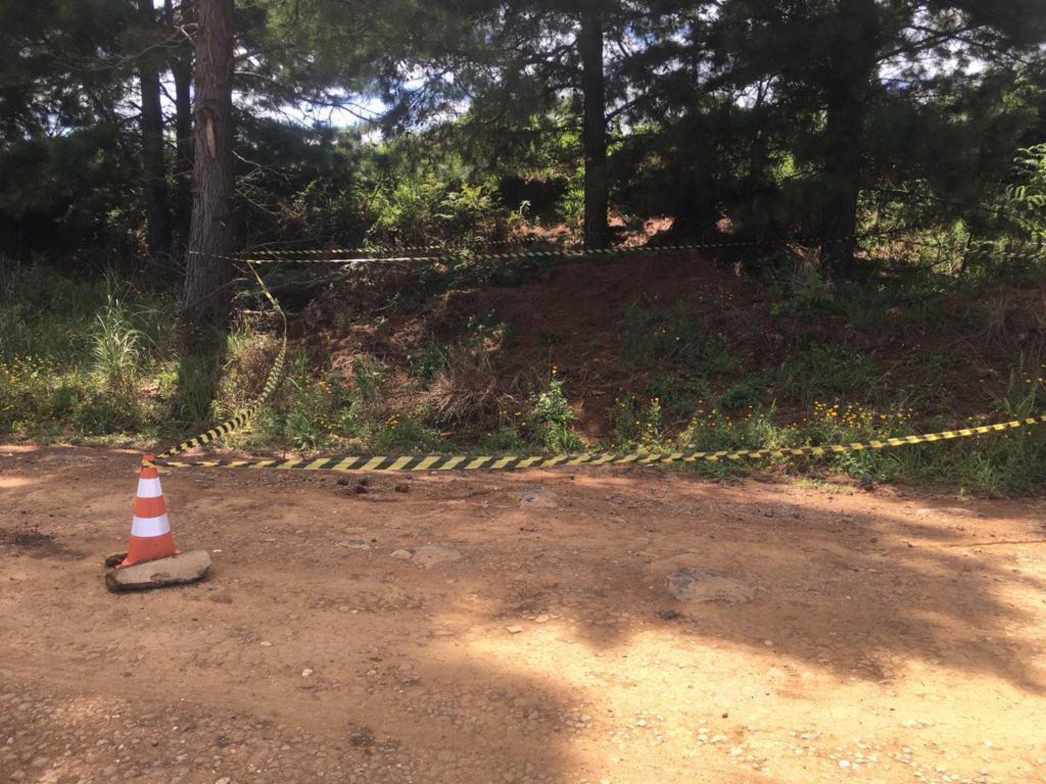 Identificado homem encontrado carbonizado às margens de estrada em São Francisco de Paula