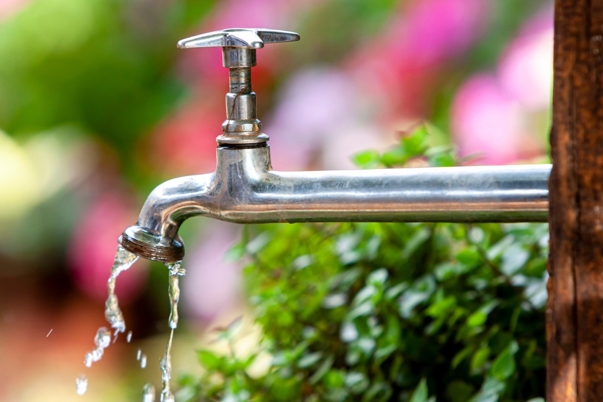 Campanha quer conscientizar a comunidade sobre o uso racional da água