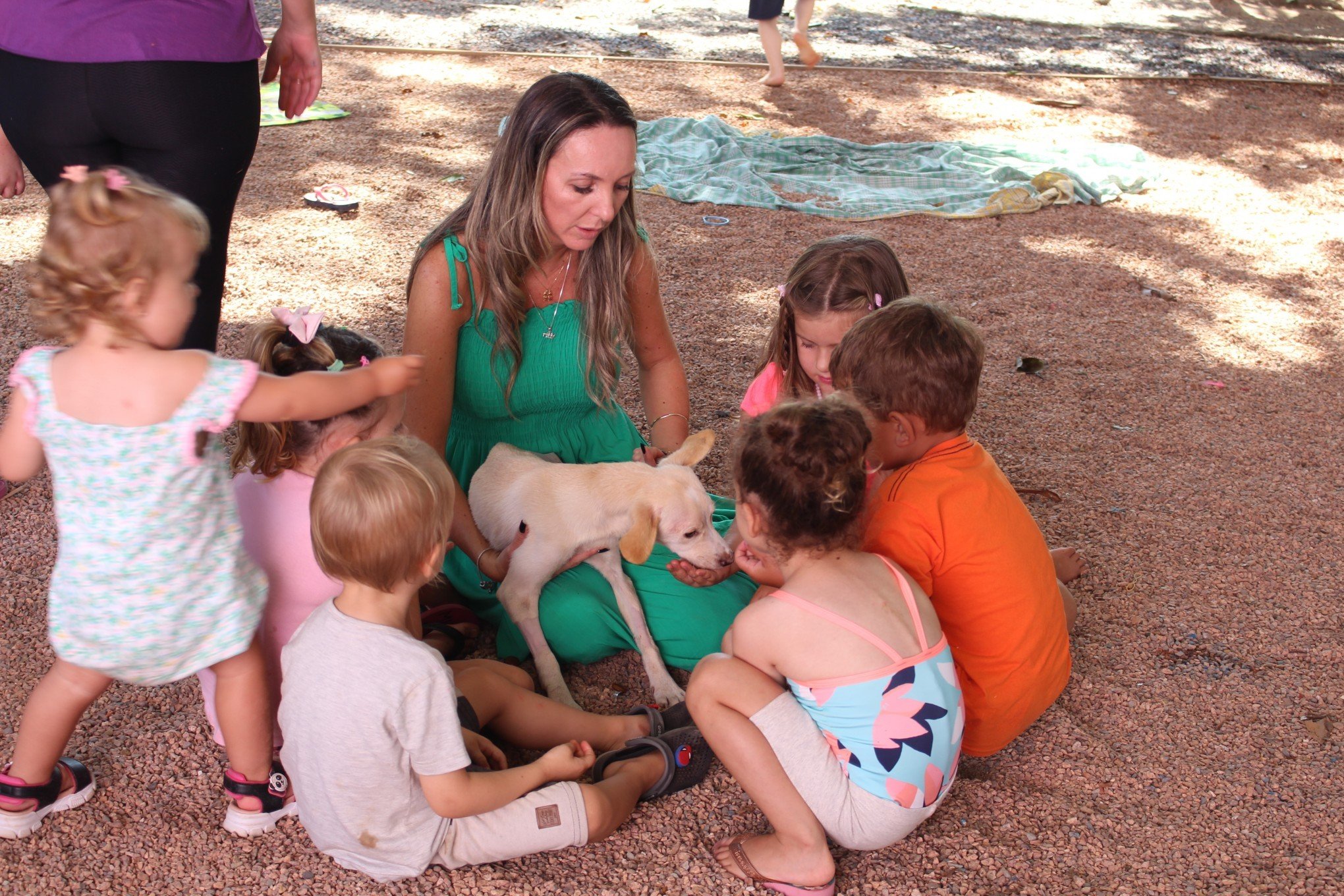 Cachorrinha resgatada quase sem vida sobrevive e é adotada por instituto terapêutico