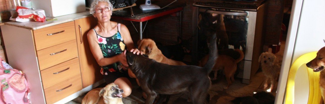 Com menos de um salário, diarista sobrevive com mais de 30 cães resgatados em Canoas