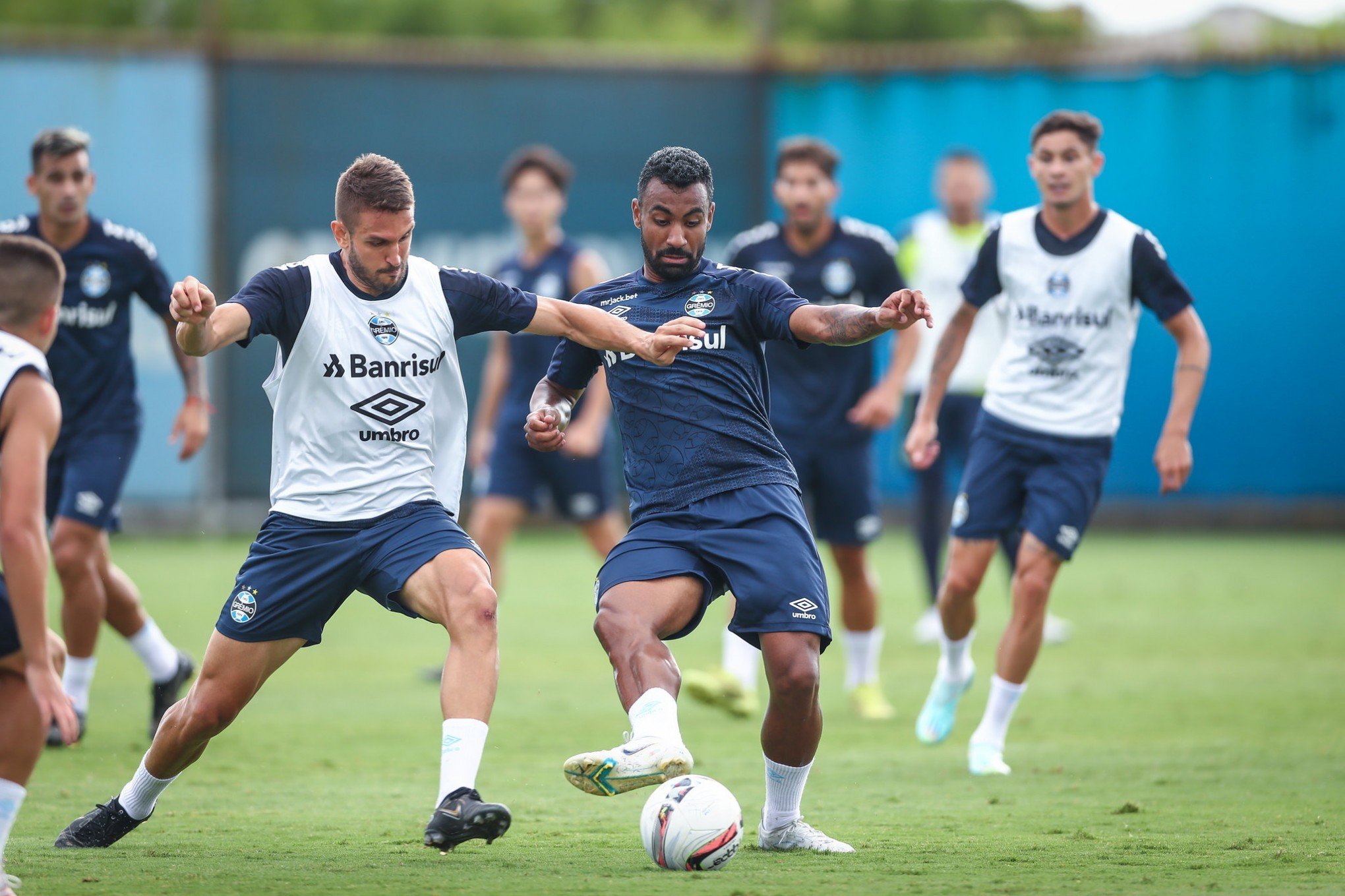 Grêmio finaliza preparação e está pronto para receber o Aimoré