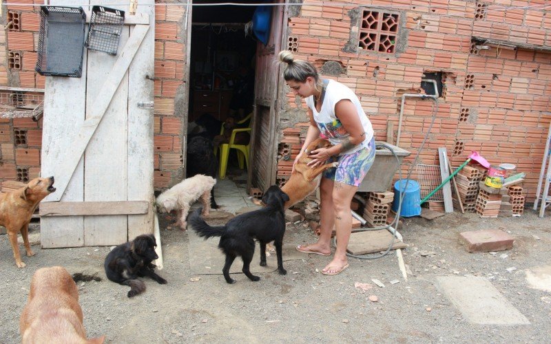 Protetora de animais - Guajuviras