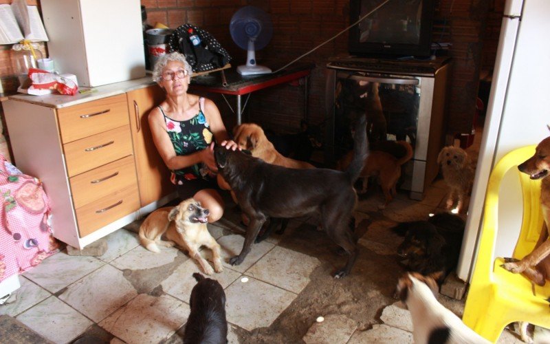 Protetora de animais - Guajuviras