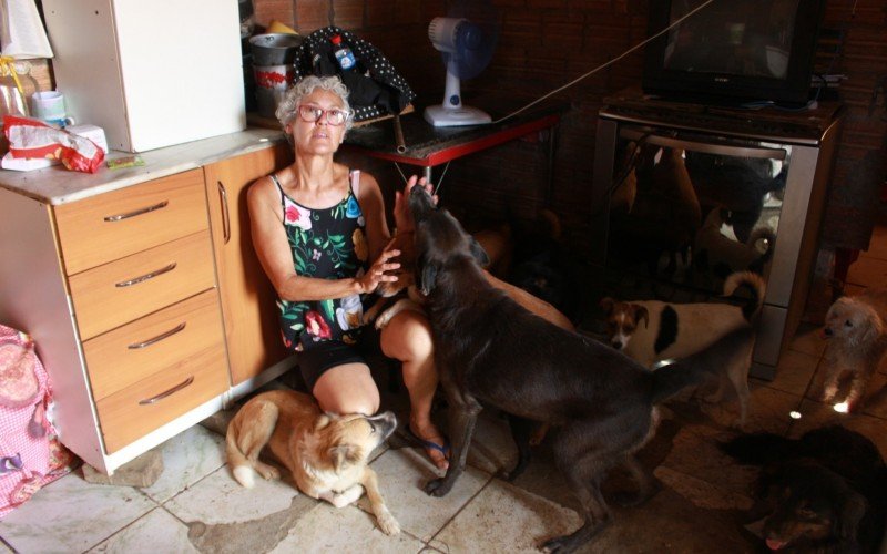 Iara mora com os animais em uma casa de três cômodos