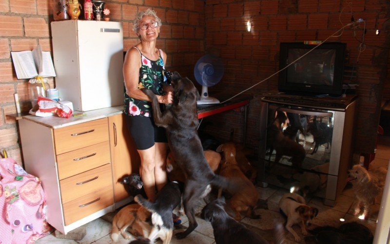 Iara mora com os animais em uma casa de três cômodos