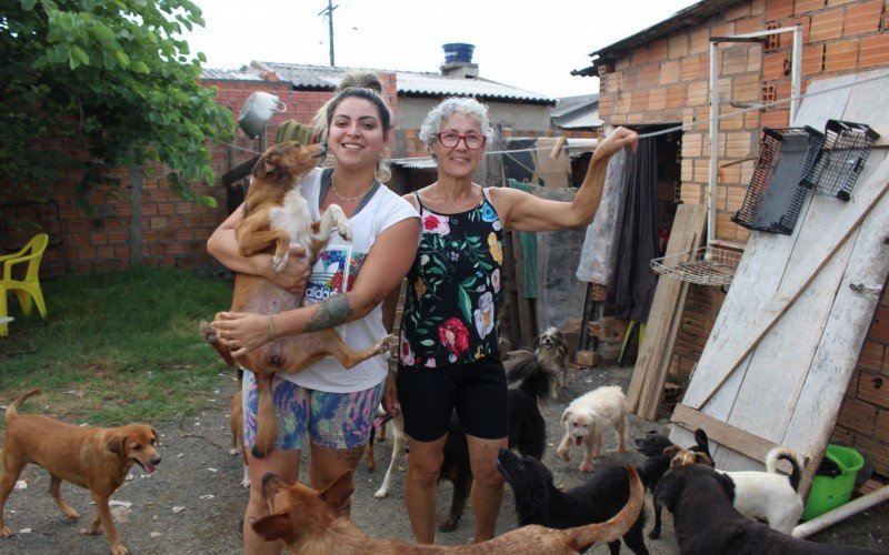 Protetora de animais - Guajuviras