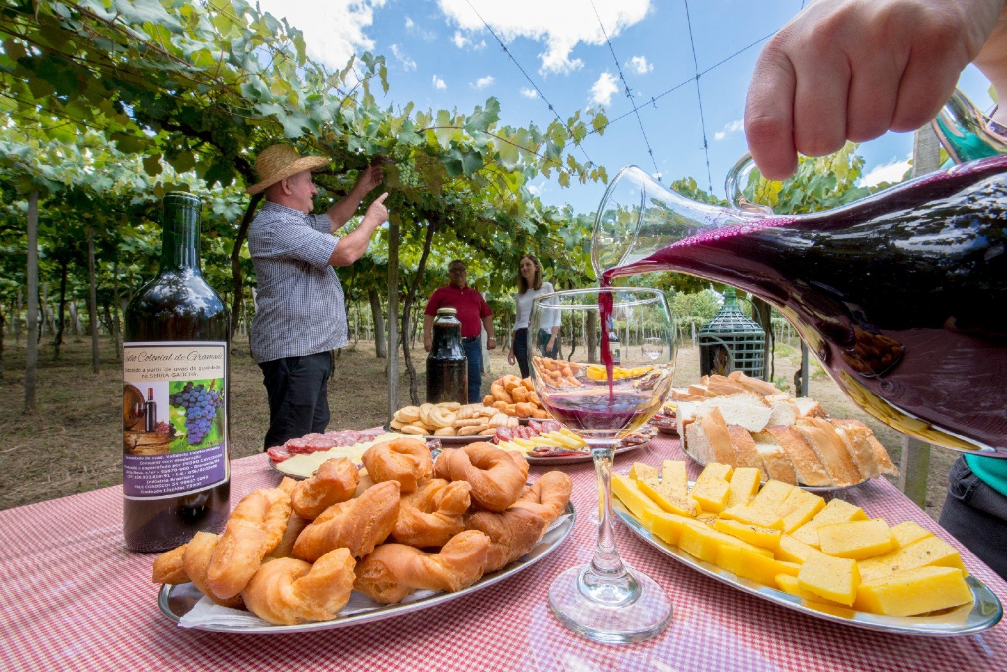 Vinícola Ravanello em Gramado: visita e degustação de vinhos