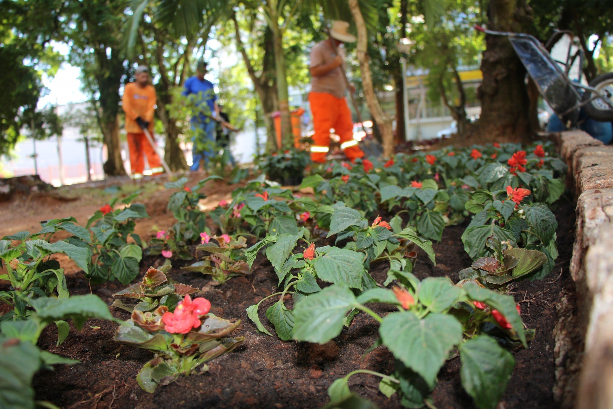 Praças e canteiros de Novo Hamburgo são repaginados com plantio de flores