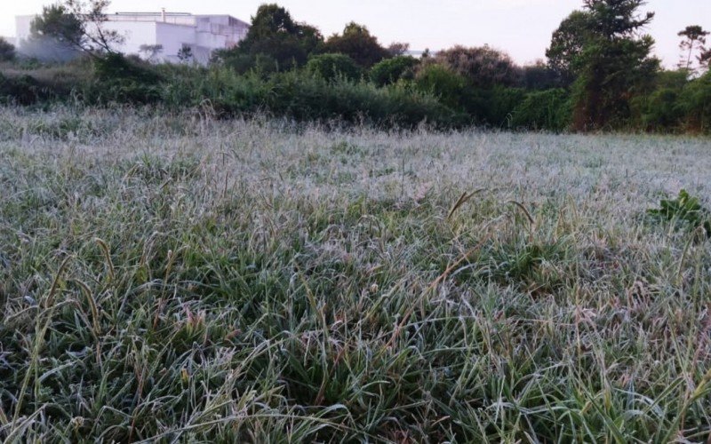Primeira geada do ano em São Francisco de Paula