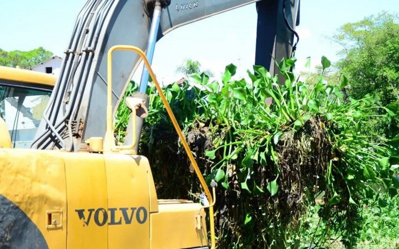 A vegetação acumulada em torno do lixo sendo removida