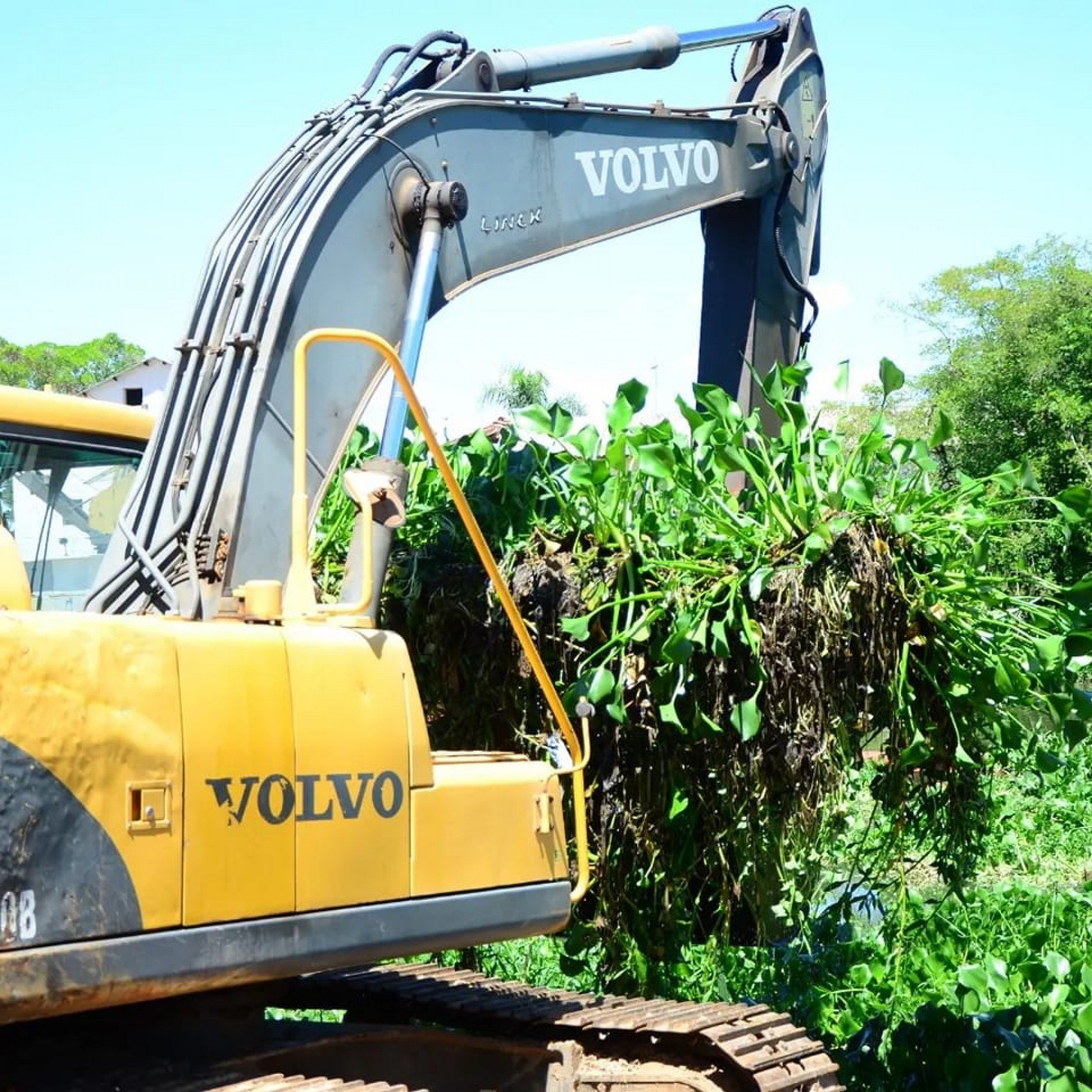 Seguem os trabalhos para retirada de vegetação no Rio Gravataí