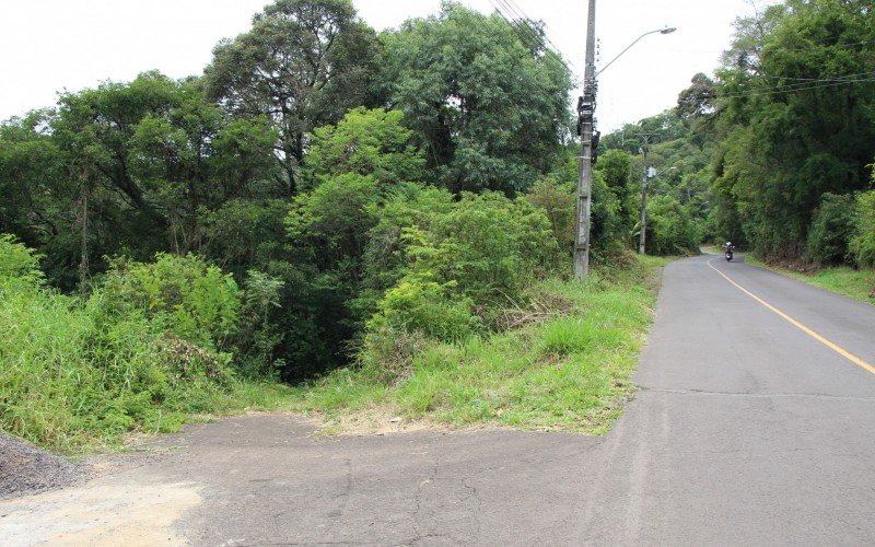 VÃ­timas foram retiradas de Ã¡rea de mata na Rua Engenheiro Jorge Schury, no bairro SÃ£o JosÃ©