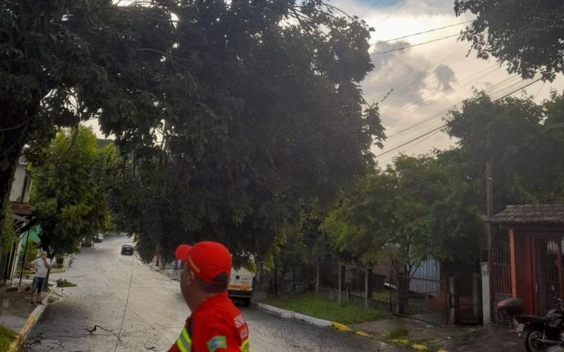 Ãrvore afeta fios elétricos em Nova Hartz