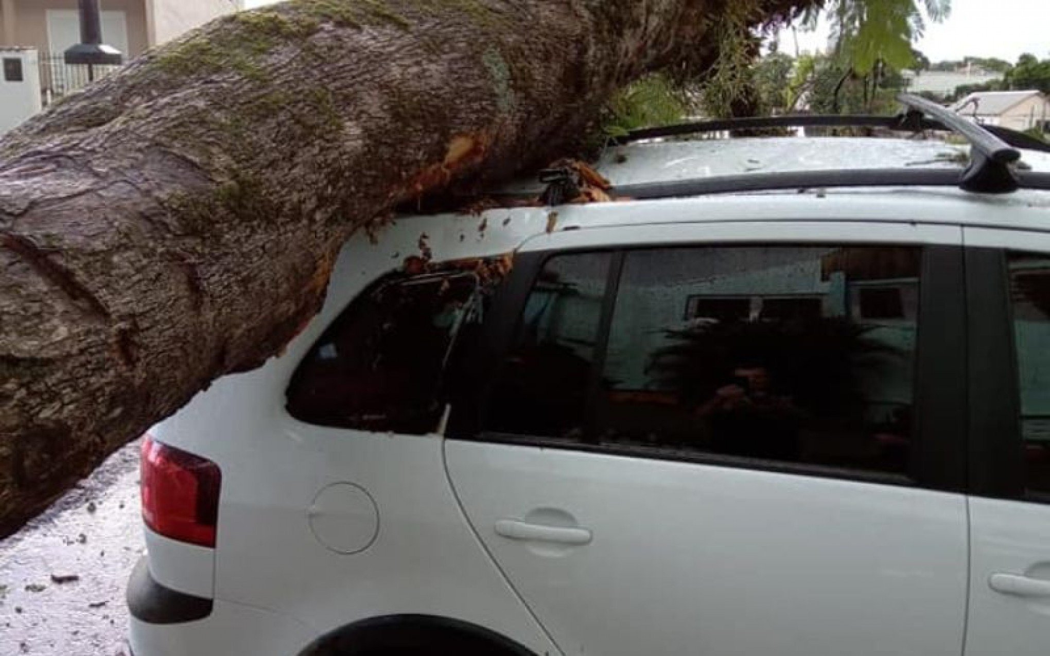 Árvore cai sobre carro e chuva alaga avenida em Dois Irmãos