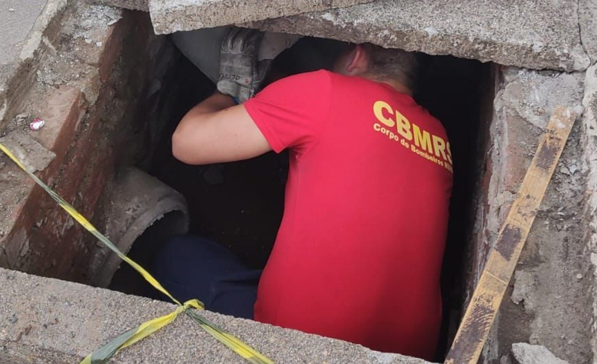 Bombeiros resgatam gata e filhotes de bueiro em Sapucaia do Sul