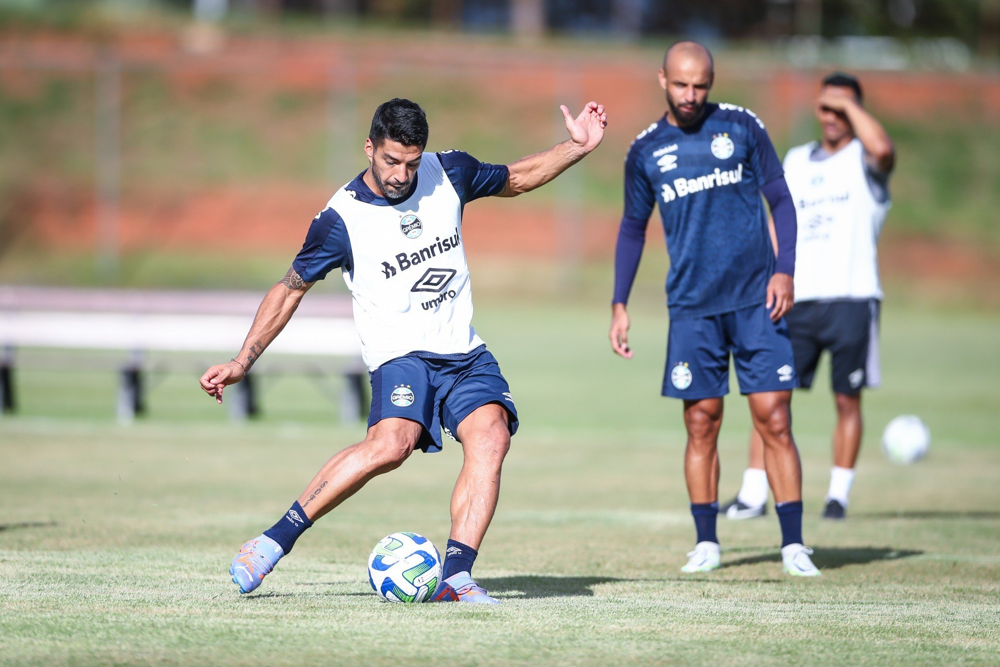 Mais um jogo em Brasília: Campinense e Grêmio será no Mané Garrincha