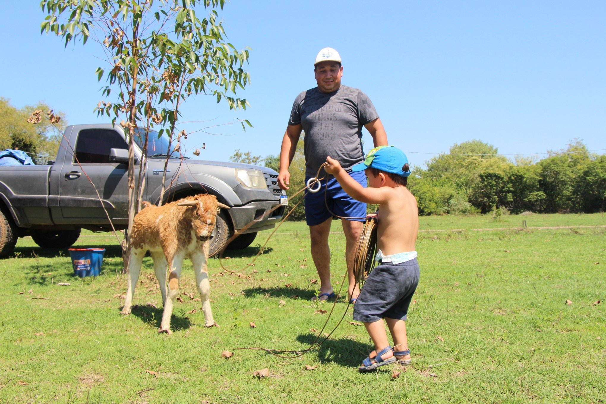 Rodeio de Campo Bom tem 12 dias de atividades campeiras e bailes