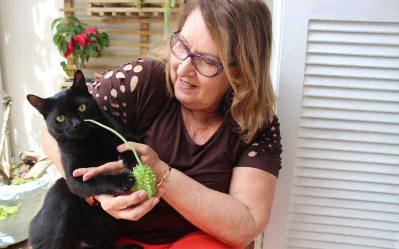 Assim como os humanos, animais de estimação também podem se estressar