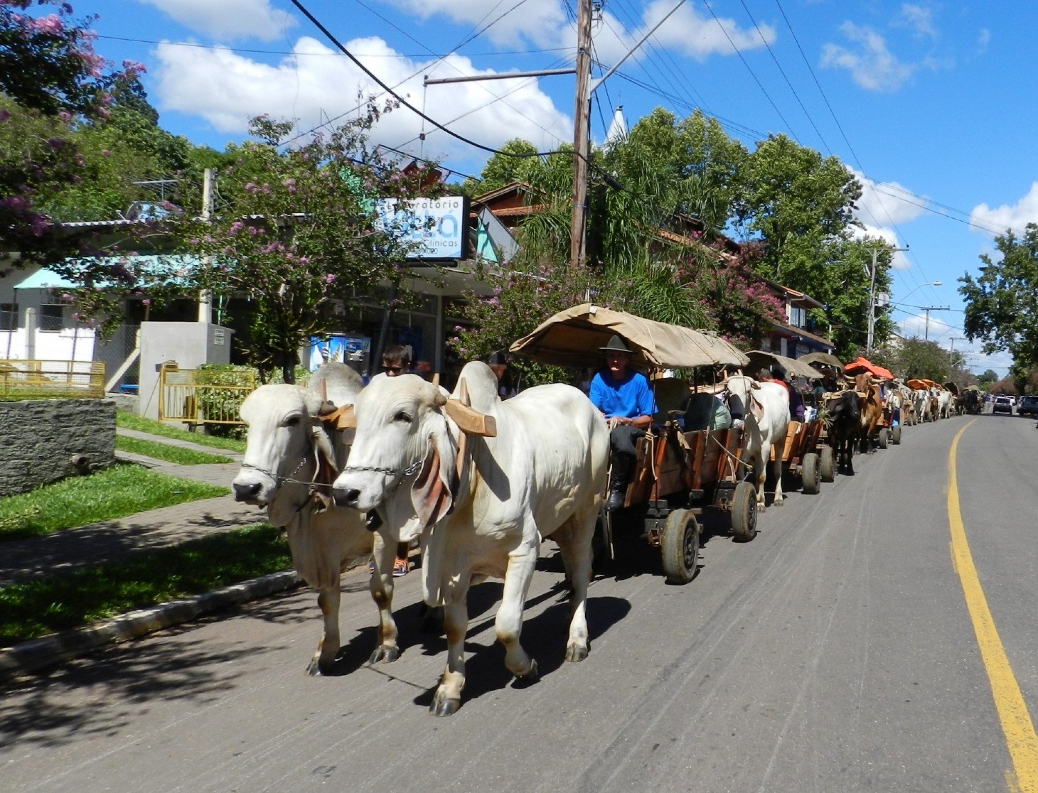 Rodeio, carreteada, carnaval e Vindima no cardápio do final de semana na região