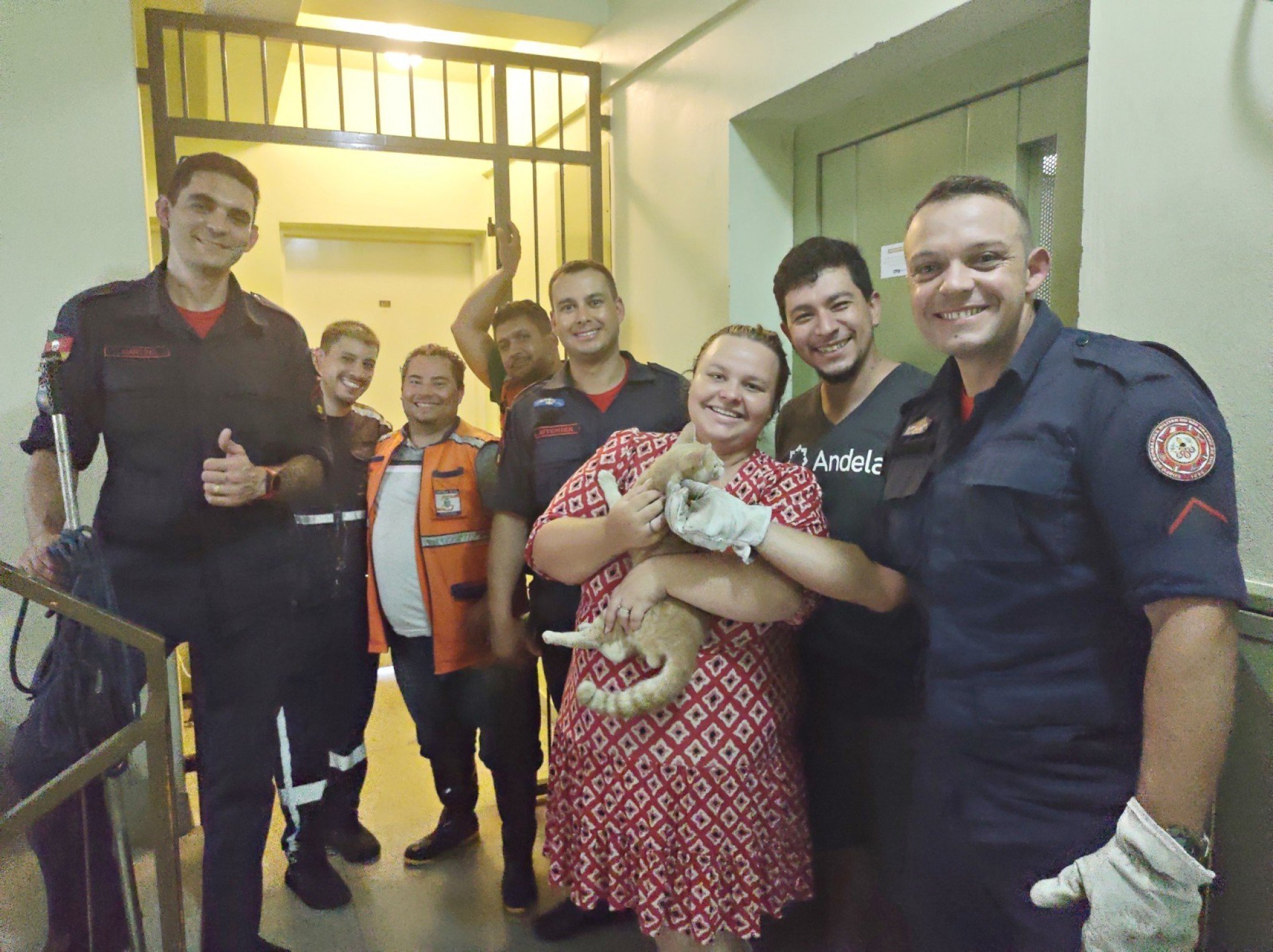 Mais de uma semana desaparecido, gato é resgatado em chaminé de prédio em Taquara