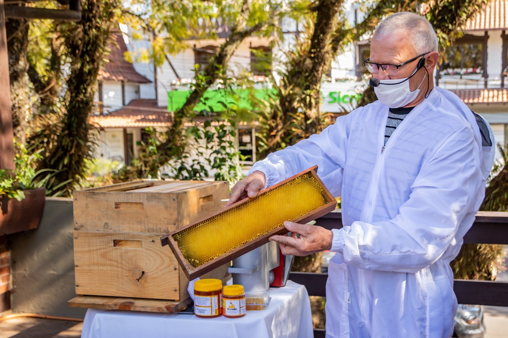 Festa do mel e festival de churrasco prometem agitar o final de semana da Serra