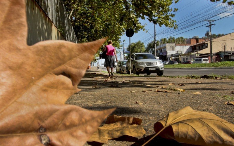 Apesar das folhas caindo, fim de semana foi de altas temperaturas