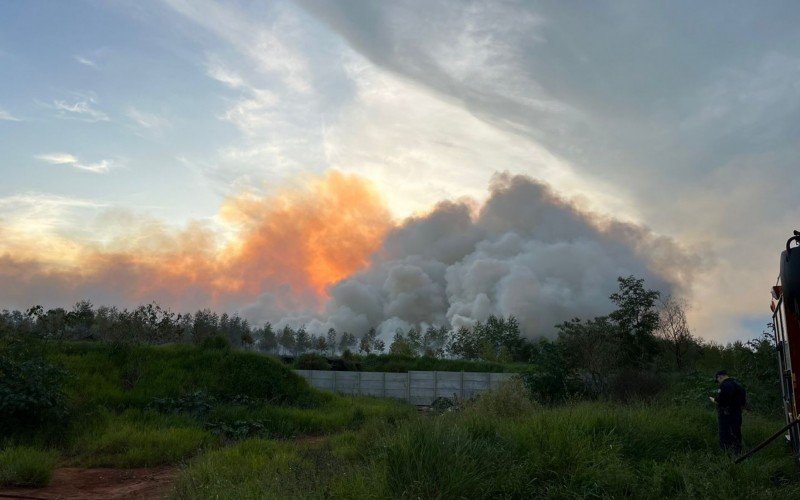 Bombeiros seguem no combate ao incêndio que atingiu área de vegetação em Novo Hamburgo