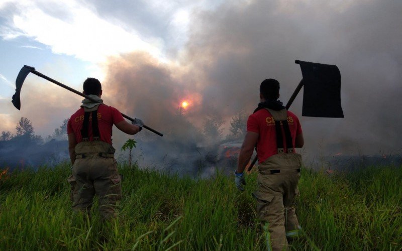 Previsão era que combate às chamas avançasse a madrugada