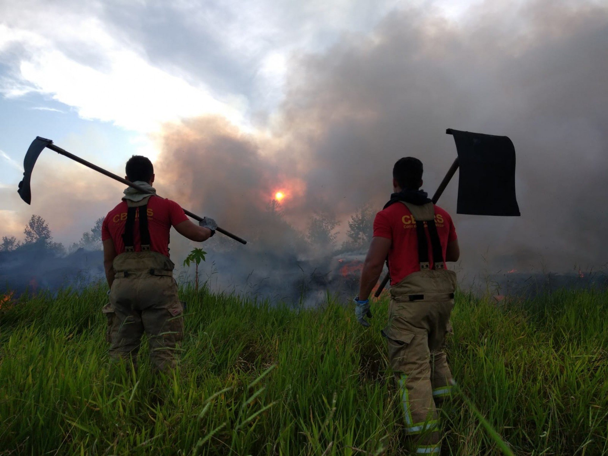 Moradores se assustam com incêndio de grande proporção em área de vegetação em Novo Hamburgo