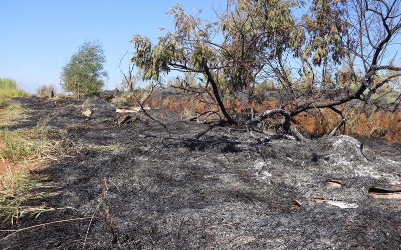 Incêndio atinge cerca de 20 hectares de vegetação da Avenida Carlos Armando Koch, no bairro Boa Saúde, em Novo Hamburgo