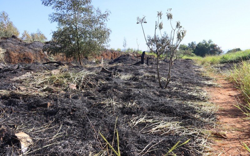 IncÃªndio atinge cerca de 20 hectares de vegetaÃ§Ã£o da Avenida Carlos Armando Koch, no bairro Boa SaÃºde, em Novo Hamburgo
