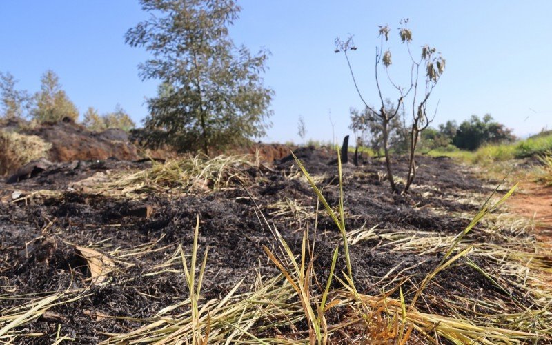 IncÃªndio atinge cerca de 20 hectares de vegetaÃ§Ã£o da Avenida Carlos Armando Koch, no bairro Boa SaÃºde, em Novo Hamburgo
