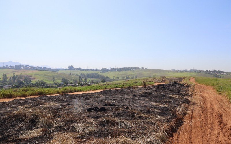 IncÃªndio atinge cerca de 20 hectares de vegetaÃ§Ã£o da Avenida Carlos Armando Koch, no bairro Boa SaÃºde, em Novo Hamburgo