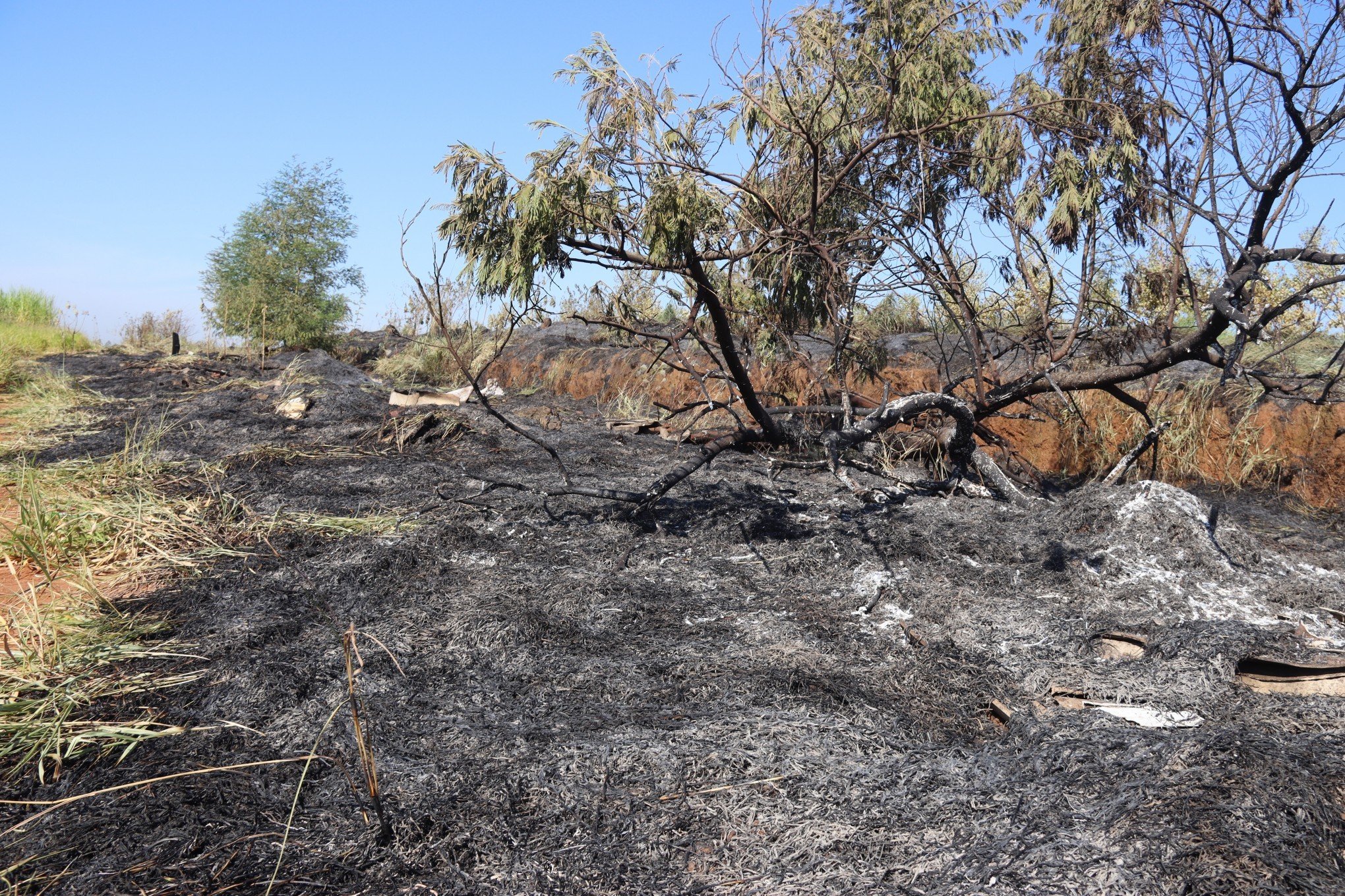Fogo destrói 20 hectares de área de mato e fumaça deve continuar durante o dia