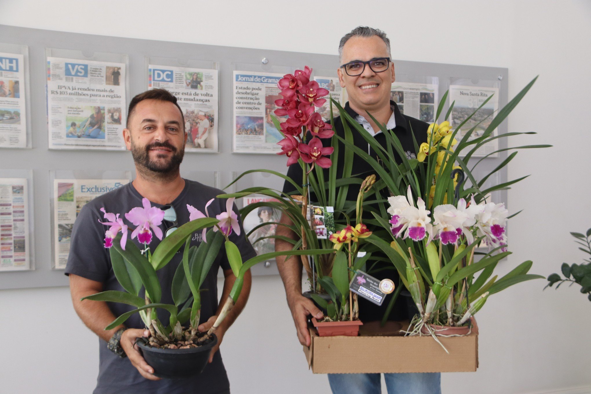 Fim de semana tem exposição de orquídeas