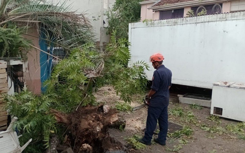  Bombeiros de Novo Hamburgo cortam árvore sobre carro