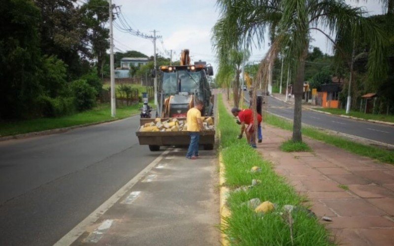 Ciclovia da Avenida Imperatriz está passando por revitalização 