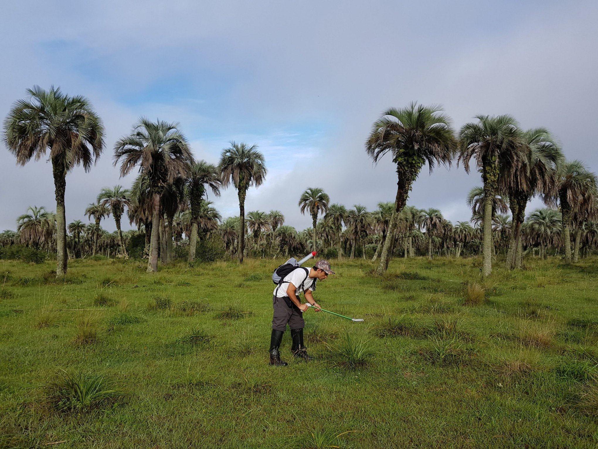 Biodiversidade do bioma Pampa é alvo de estudo
