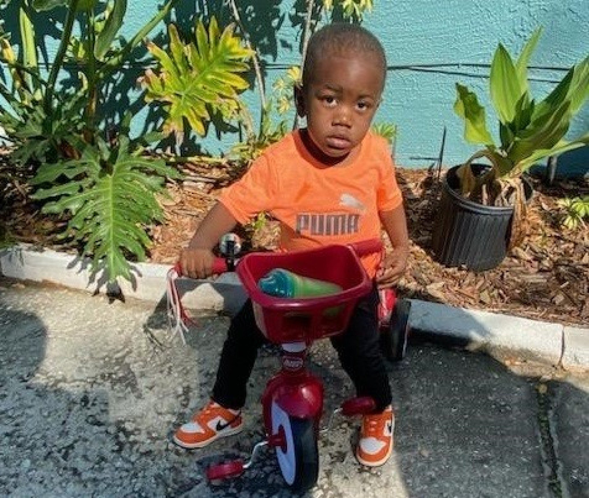 Corpo de menino de 2 anos Ã© encontrado em boca de jacarÃ©