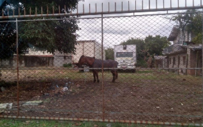 Firma de logística funcionava no bairro Canudos