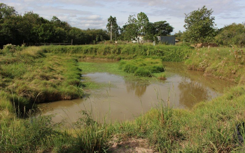 Estiagem afeta produtividade das lavouras de Nova Santa Rita