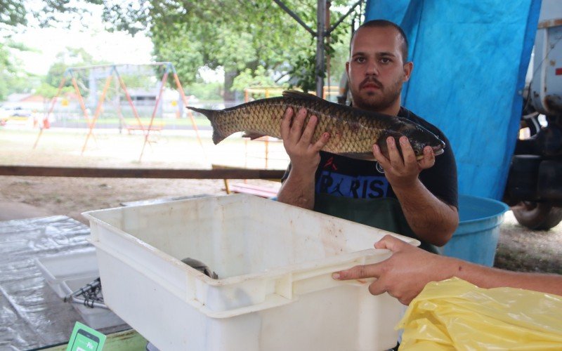Peixes vivos