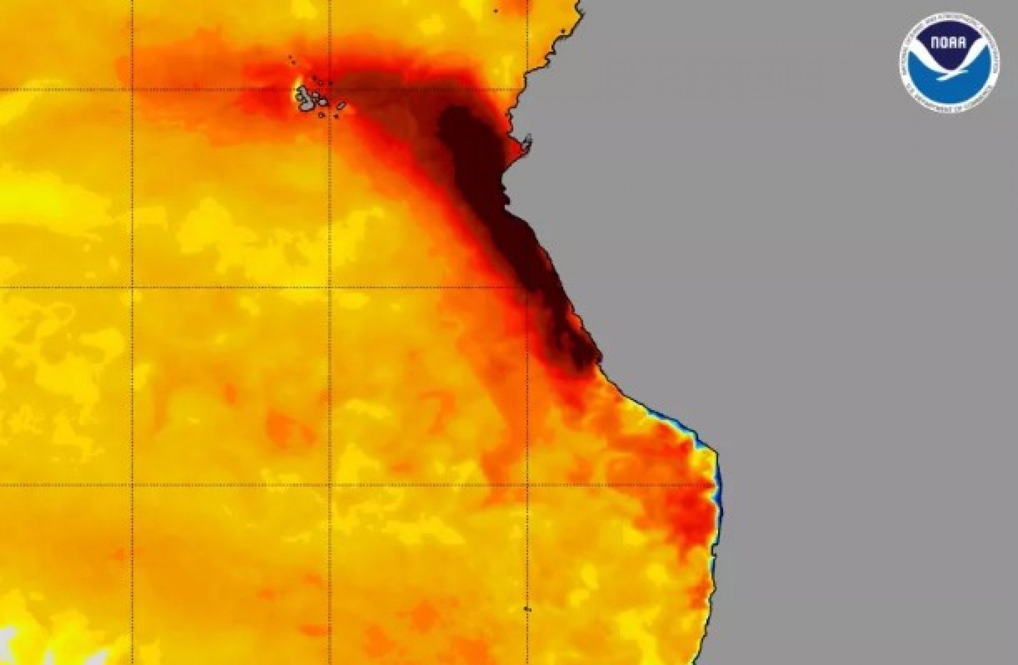 Probabilidade de El Niño é de quase 90% para o próximo verão, indica agência americana