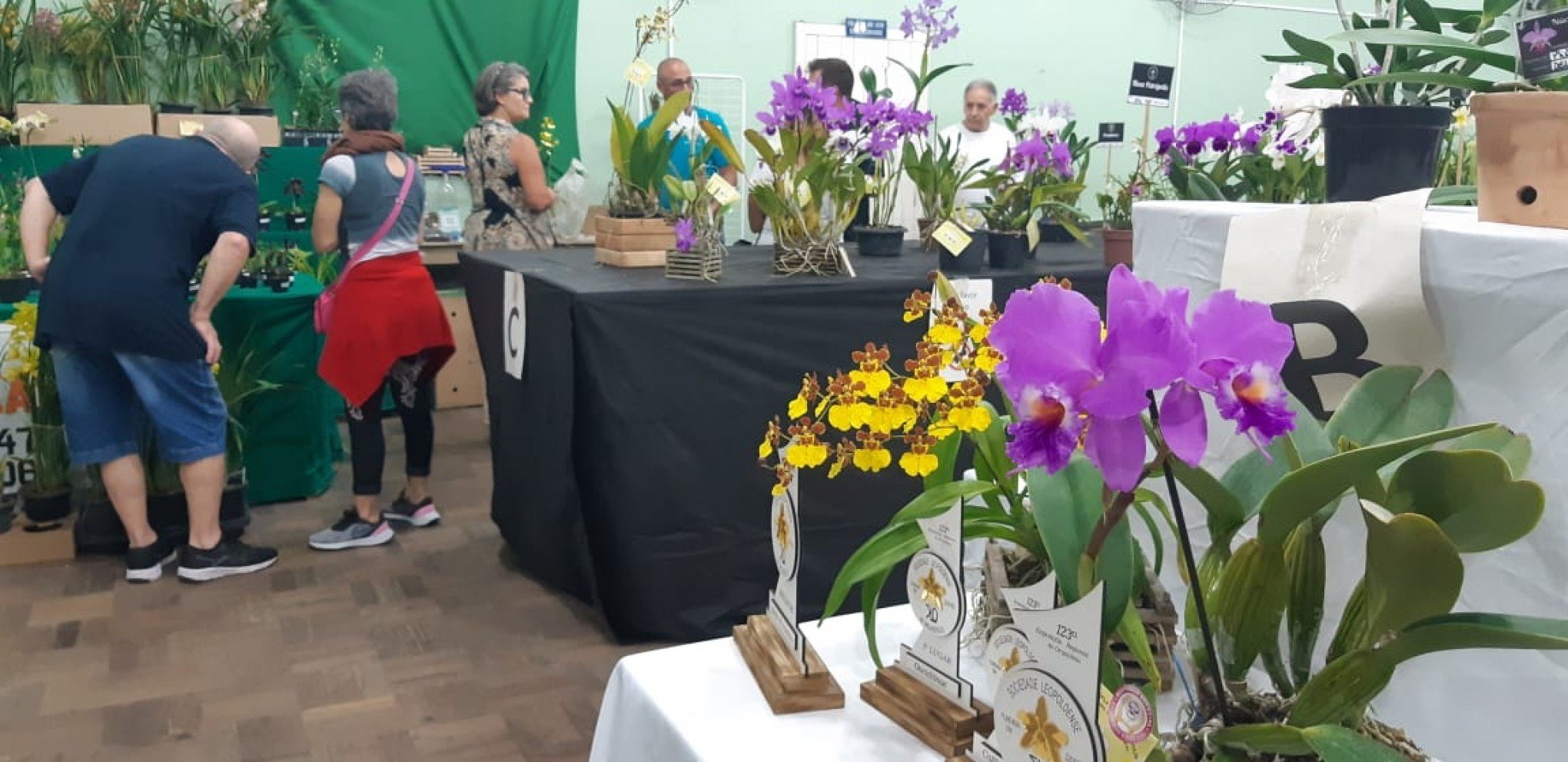 Exposição de orquídeas atraiu grande público a São Leopoldo no fim de semana